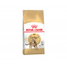 ROYAL CANIN Bengal 2кг
