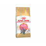 ROYAL CANIN Kitten British Shorthair 0,4кг