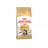 ROYAL CANIN Kitten Maine Coon 4 кг